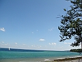 Western Michigan [2010] 655